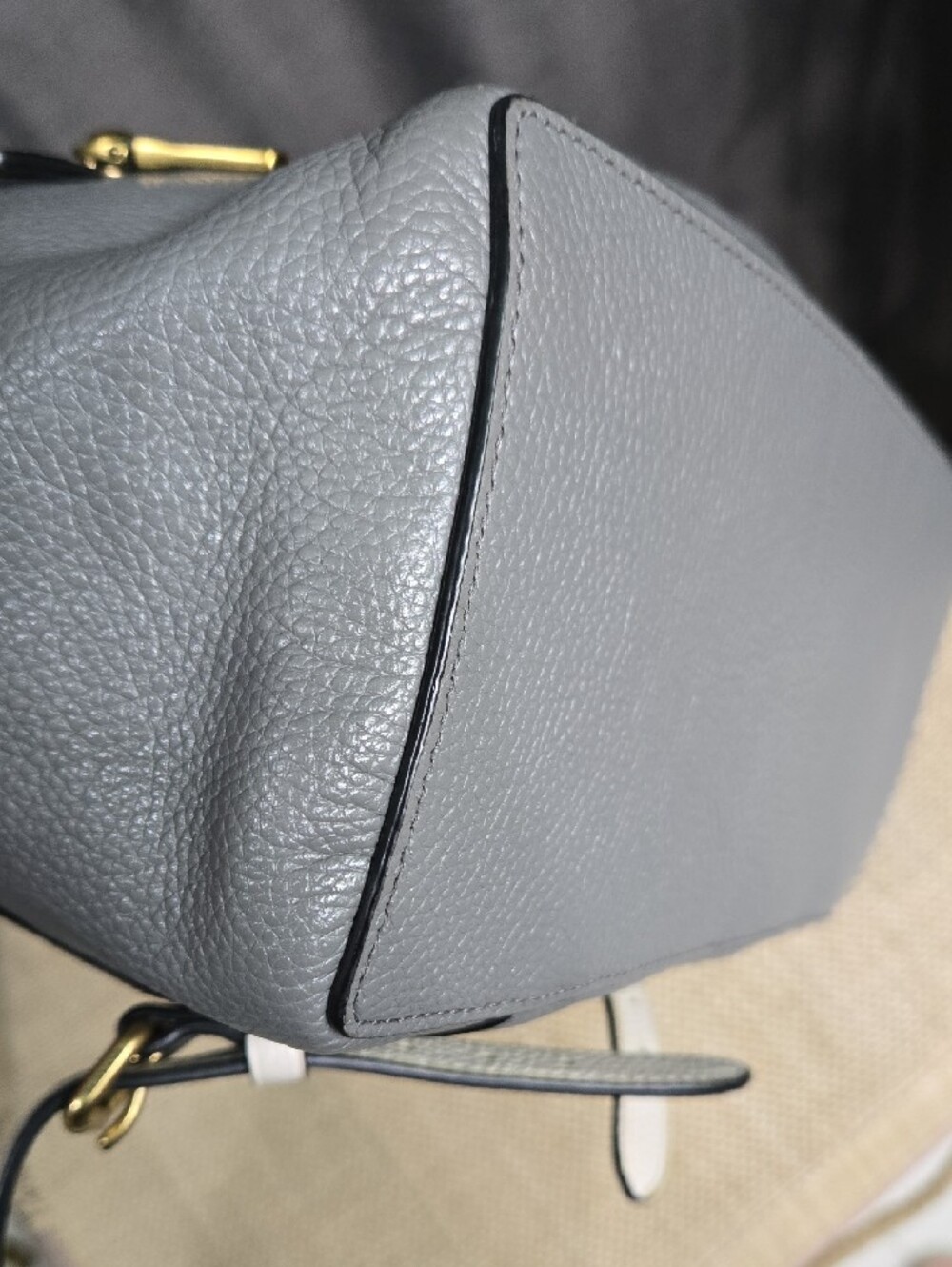 Coach Gray and Cream Leather Drawstring Backpack with Snakeskin Trim - Picture 7 of 14